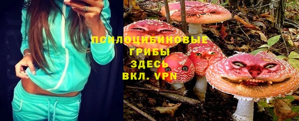 дмт Аркадак